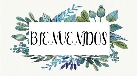 a5e6f6318d860292d16d2dfc27beb031c1e44597.COLOR